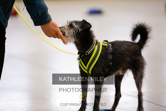 2022-KathleenRileyPhotography-7374