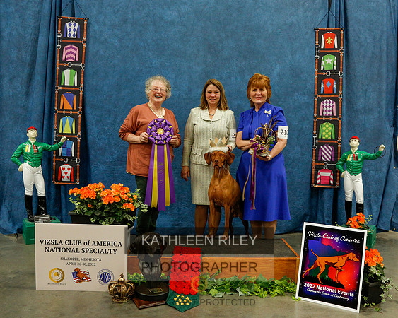2022-KathleenRileyPhotography-6239