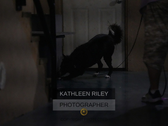 2022-KathleenRileyPhotography097