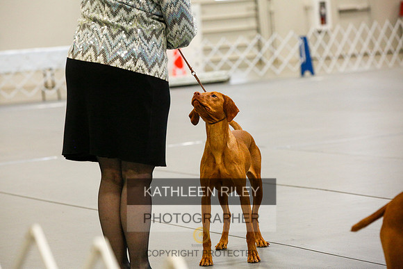 2022-KathleenRileyPhotography-9788