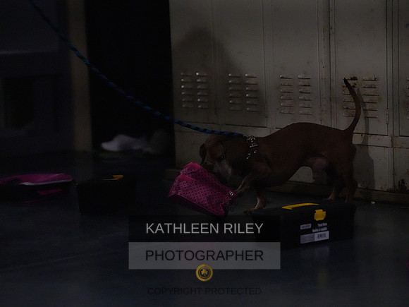 2022-KathleenRileyPhotography176