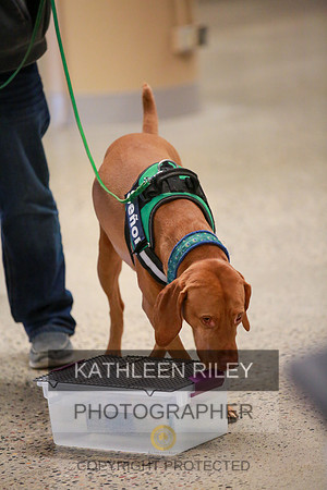 2022-KathleenRileyPhotography-7568