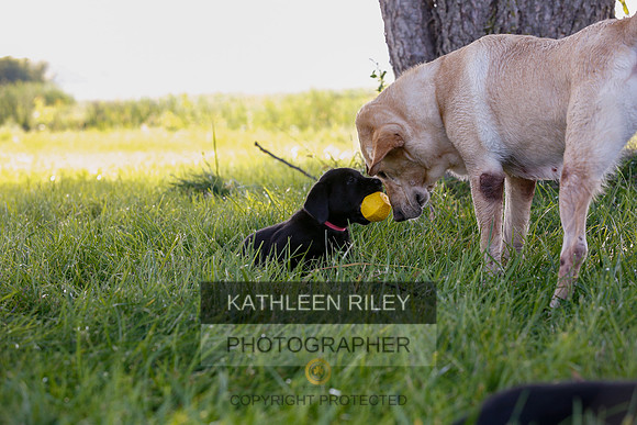 2022-KathleenRileyPhotography-7890