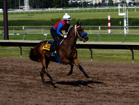 Canterbury Park Horses 4 July 2014