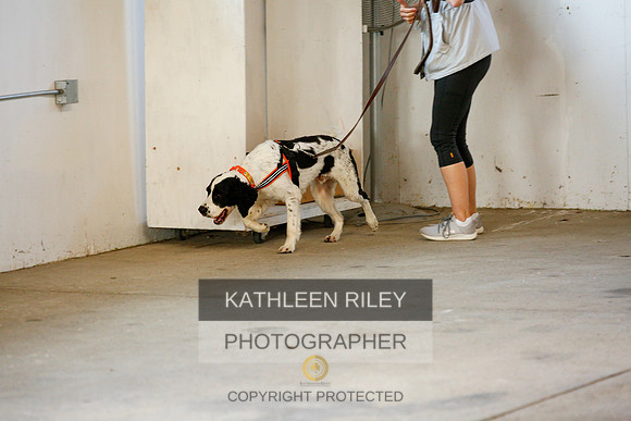 2022-KathleenRileyPhotography-9248