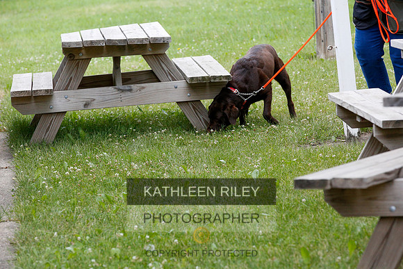 2022-KathleenRileyPhotography-9607