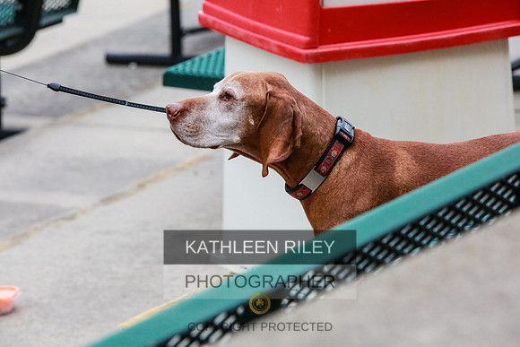 2022-KathleenRileyPhotography-7373