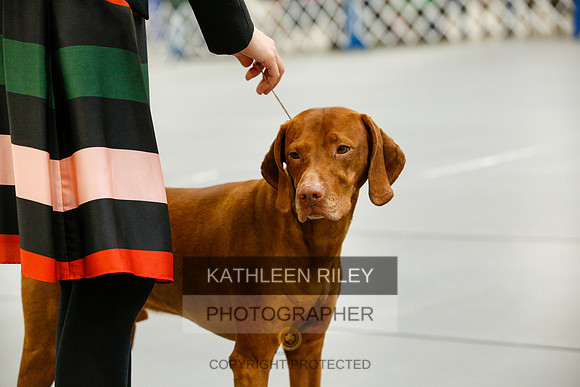2022-KathleenRileyPhotography-0825