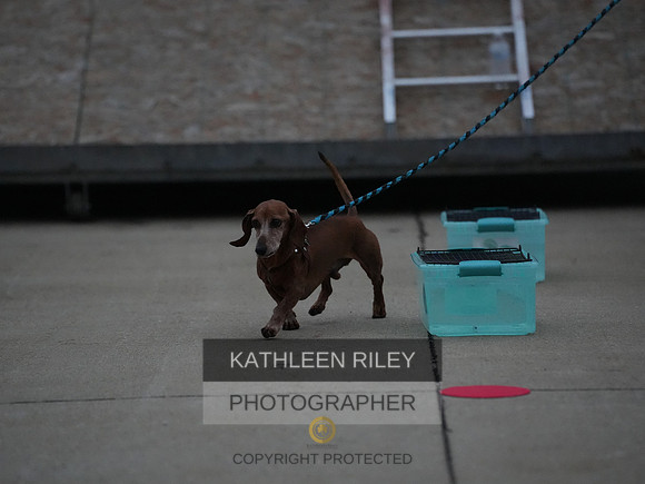 2022-KathleenRileyPhotography114