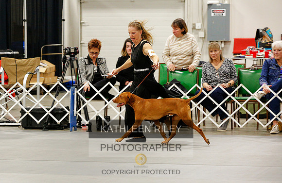 2022-KathleenRileyPhotography-0234 (1)