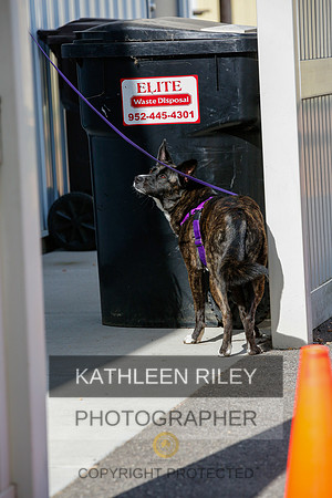 2022-KathleenRileyPhotography-3866