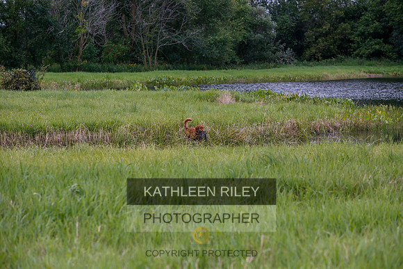 2022-KathleenRileyPhotography-3341