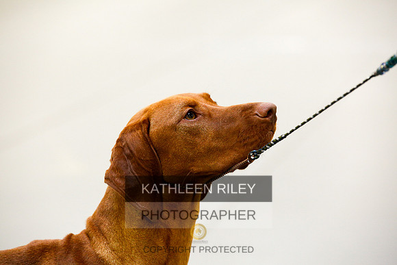 2022-KathleenRileyPhotography-9668