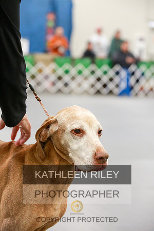 2022-KathleenRileyPhotography-8034