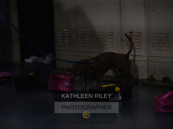 2022-KathleenRileyPhotography179