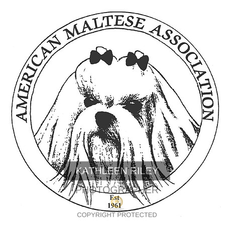 2024-Maltese-Club-Logo