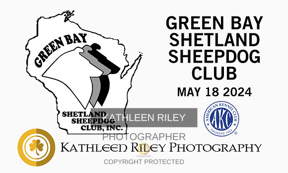 2024-GreenBay-Sheltie-WI (8.5 × 5 in)