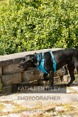 2022-KathleenRileyPhotography-9369