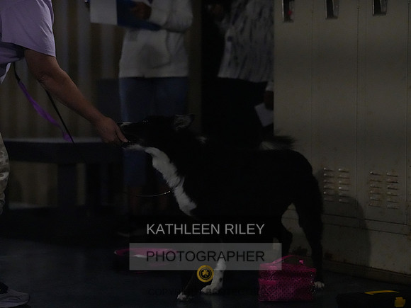 2022-KathleenRileyPhotography089