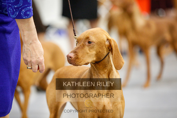 2022-KathleenRileyPhotography-2330