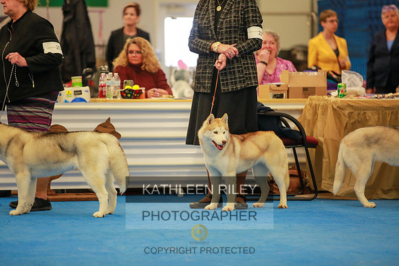 2022-KathleenRileyPhotography-6242