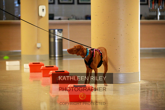2022-KathleenRileyPhotography-7693