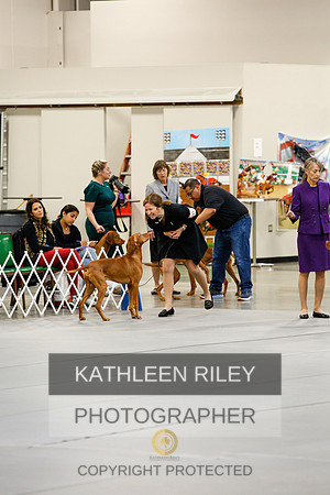 2022-KathleenRileyPhotography-1058