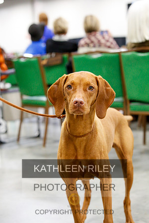 2022-KathleenRileyPhotography-1228