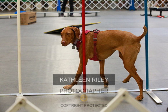 2022-KathleenRileyPhotography-7798