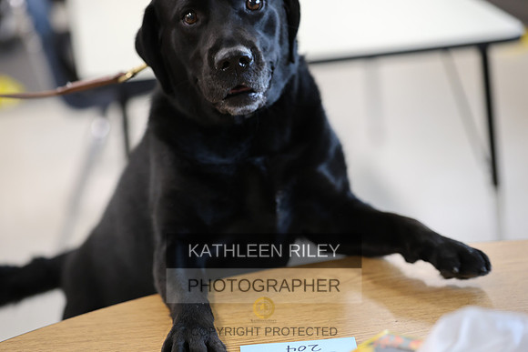 SJLT7627