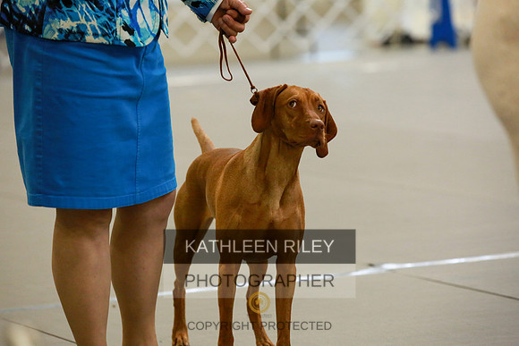 2022-KathleenRileyPhotography-8840