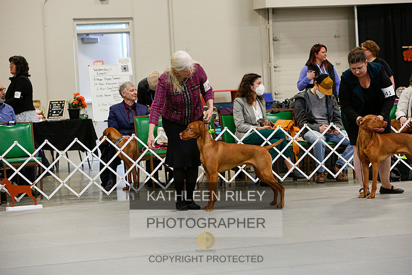 2022-KathleenRileyPhotography-2352
