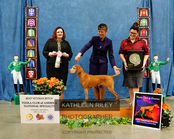 BEST-VET-BITCH-2022-KathleenRileyPhotography-7210