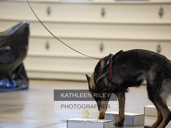2022-KathleenRileyPhotography-03870