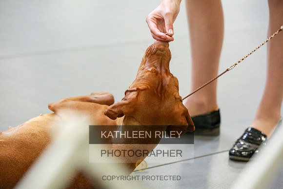 2022-KathleenRileyPhotography-8908