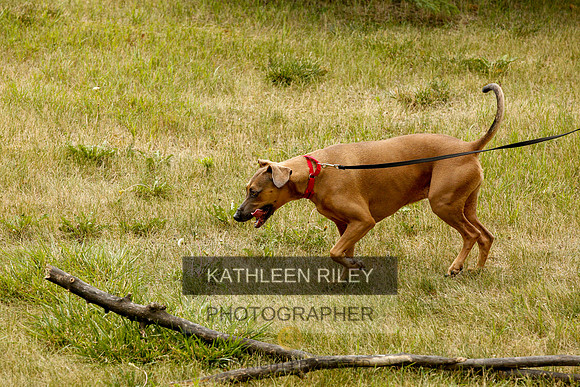 2022-KathleenRileyPhotography-0381