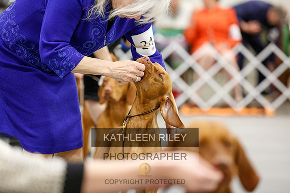 2022-KathleenRileyPhotography-2328