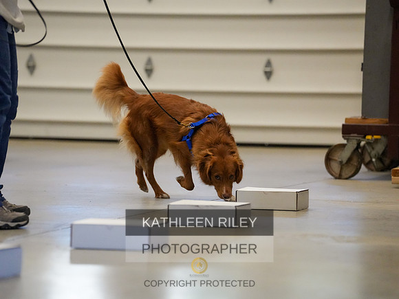 2022-KathleenRileyPhotography-03845