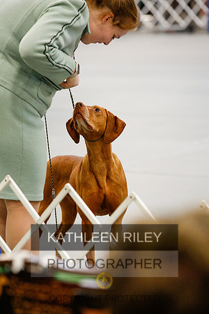 2022-KathleenRileyPhotography-0881