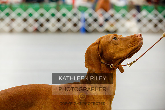2022-KathleenRileyPhotography-9435