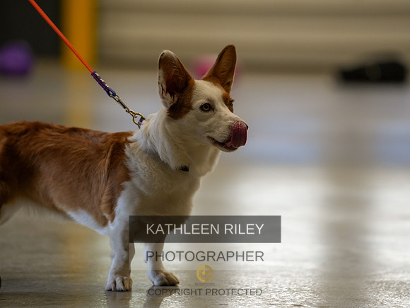 2022-KathleenRileyPhotography-03757