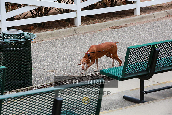 2022-KathleenRileyPhotography-7366