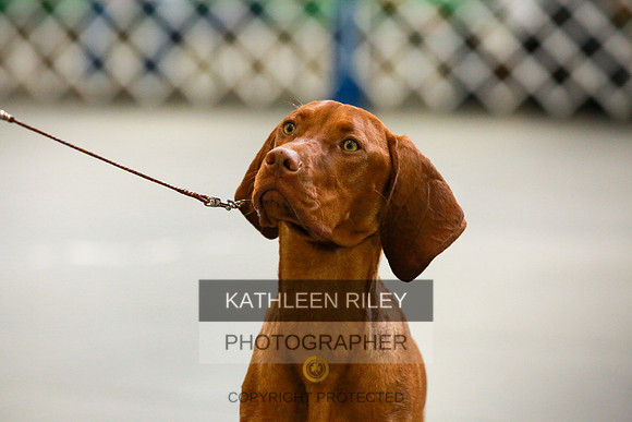 2022-KathleenRileyPhotography-8729