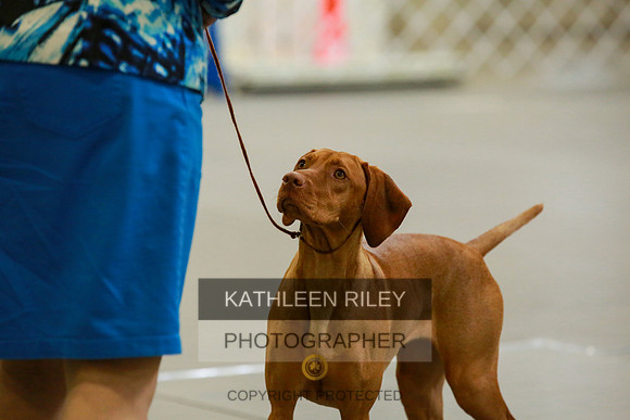 2022-KathleenRileyPhotography-8843