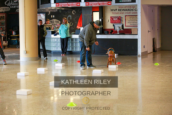 2022-KathleenRileyPhotography-7493