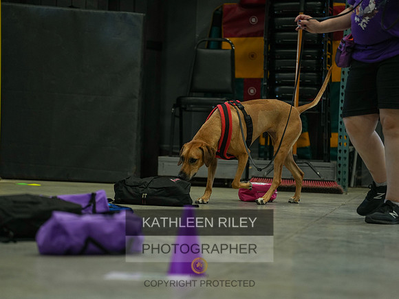 2022-KathleenRileyPhotography-03784
