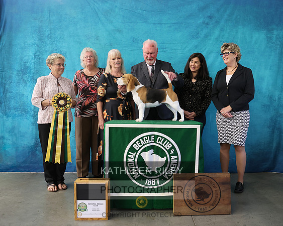 KARD8793
