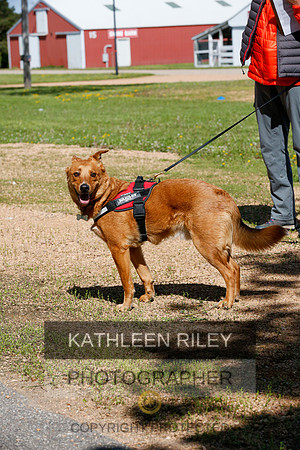 2022-KathleenRileyPhotography-4178