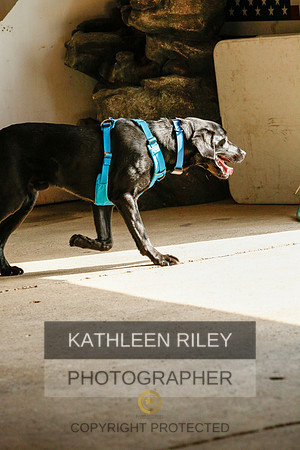 2022-KathleenRileyPhotography-9371