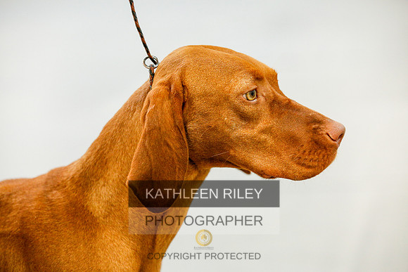 2022-KathleenRileyPhotography-9827